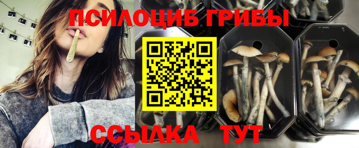 Галлюциногенные грибы ЛСД Озёрск