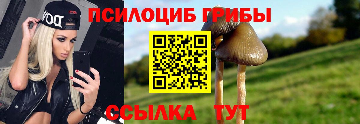 Псилоцибиновые грибы мицелий  Галлюциногенные грибы MAGIC MUSHROOMS  Вход с VPN  Озёрск 